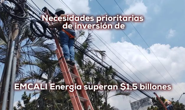 Problemas y Necesidades Prioritarias – EMCALI Energía