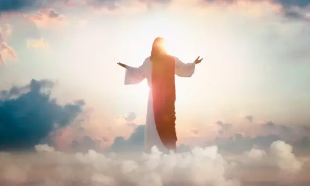 “ El que entra por la puerta es pastor de las ovejas ”