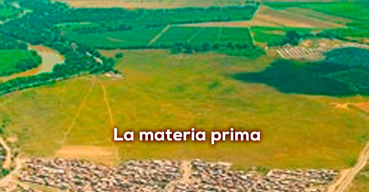 Urbanicemos los ejidos de Cali