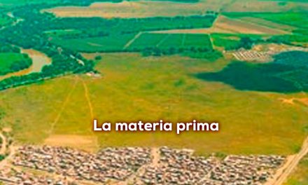 Urbanicemos los ejidos de Cali