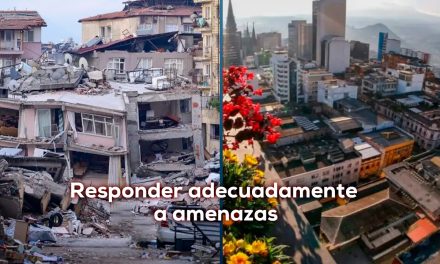Diseño y seguridad 