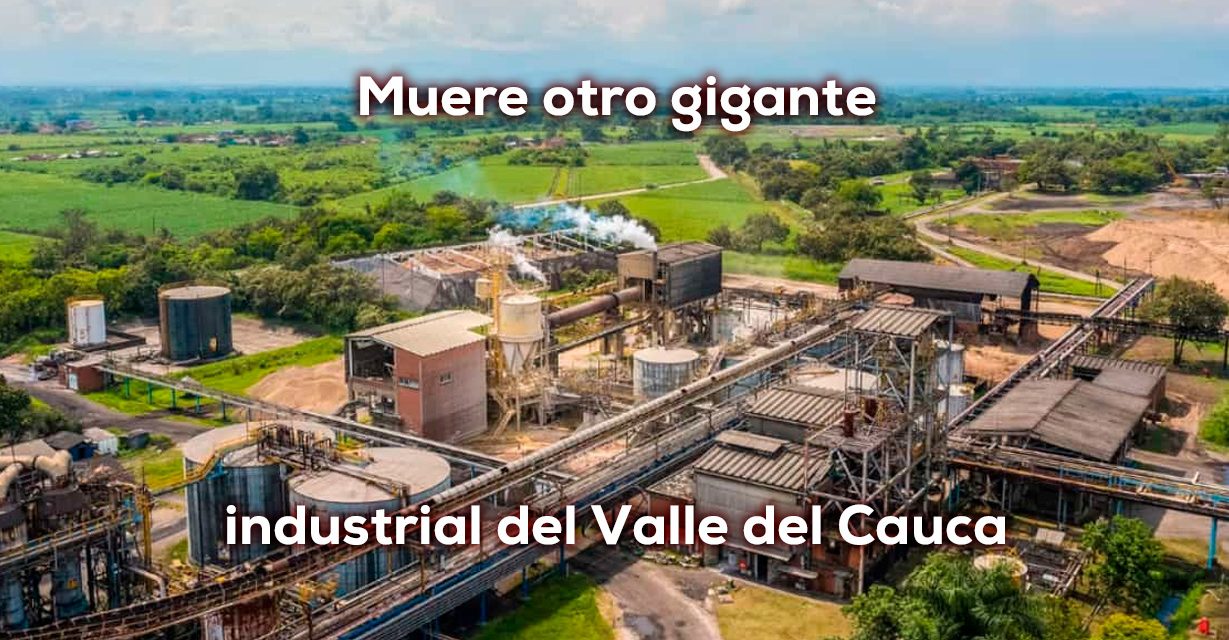 PROPAL tristemente a liquidación julio 2026