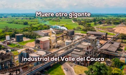 PROPAL tristemente a liquidación julio 2026