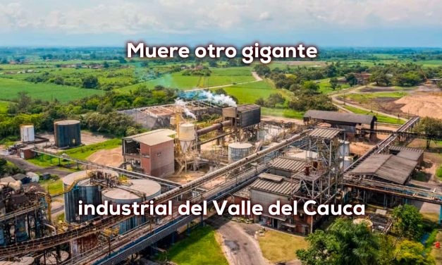 PROPAL tristemente a liquidación julio 2026