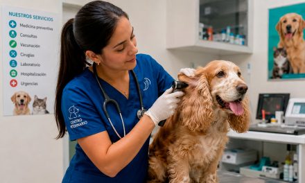 Huellas que importan: clínicas veterinarias de Cali