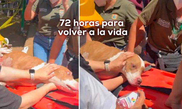 Una vida que se negó a desaparecer: Renata