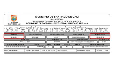 IMPUESTO PREDIAL UNIFICADO (IPU)