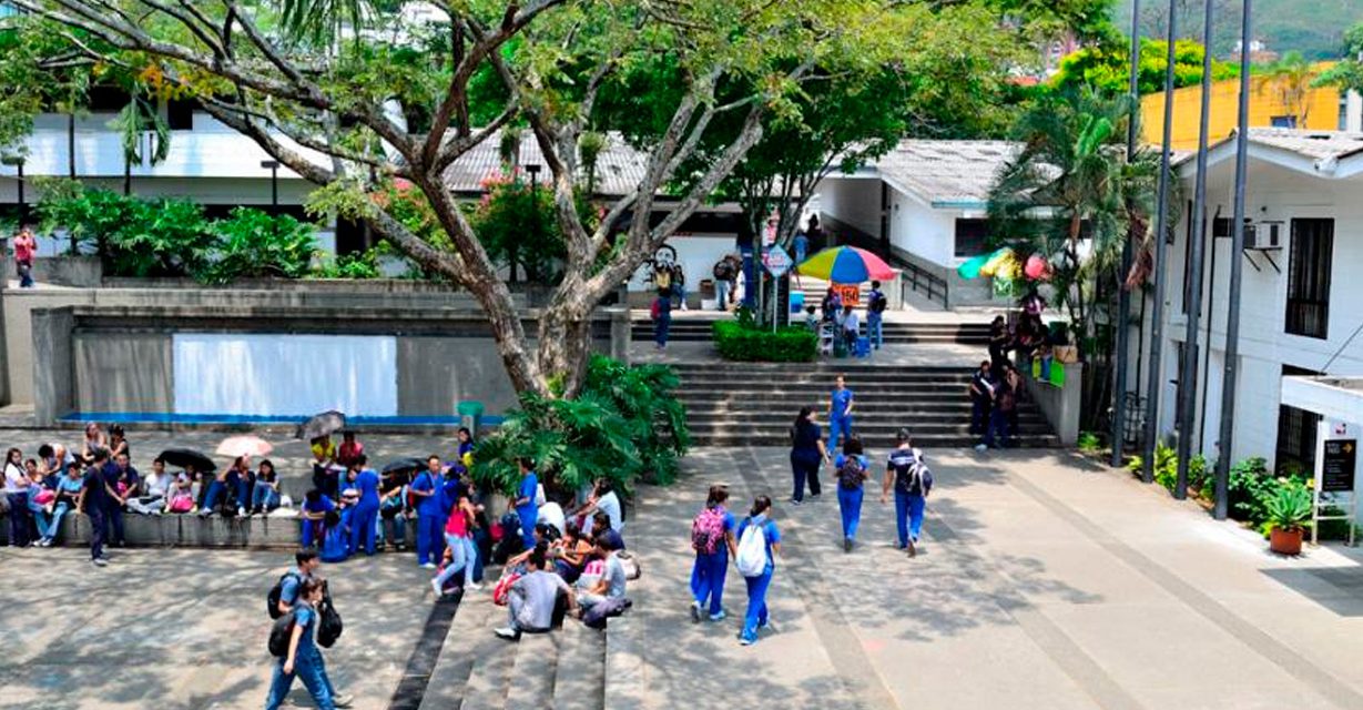 Educación superior y formación técnica: instituciones, sectores y áreas de estudio en Cali