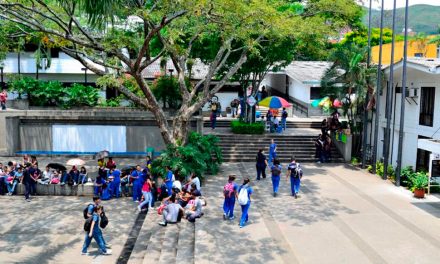 Educación superior y formación técnica: instituciones, sectores y áreas de estudio en Cali