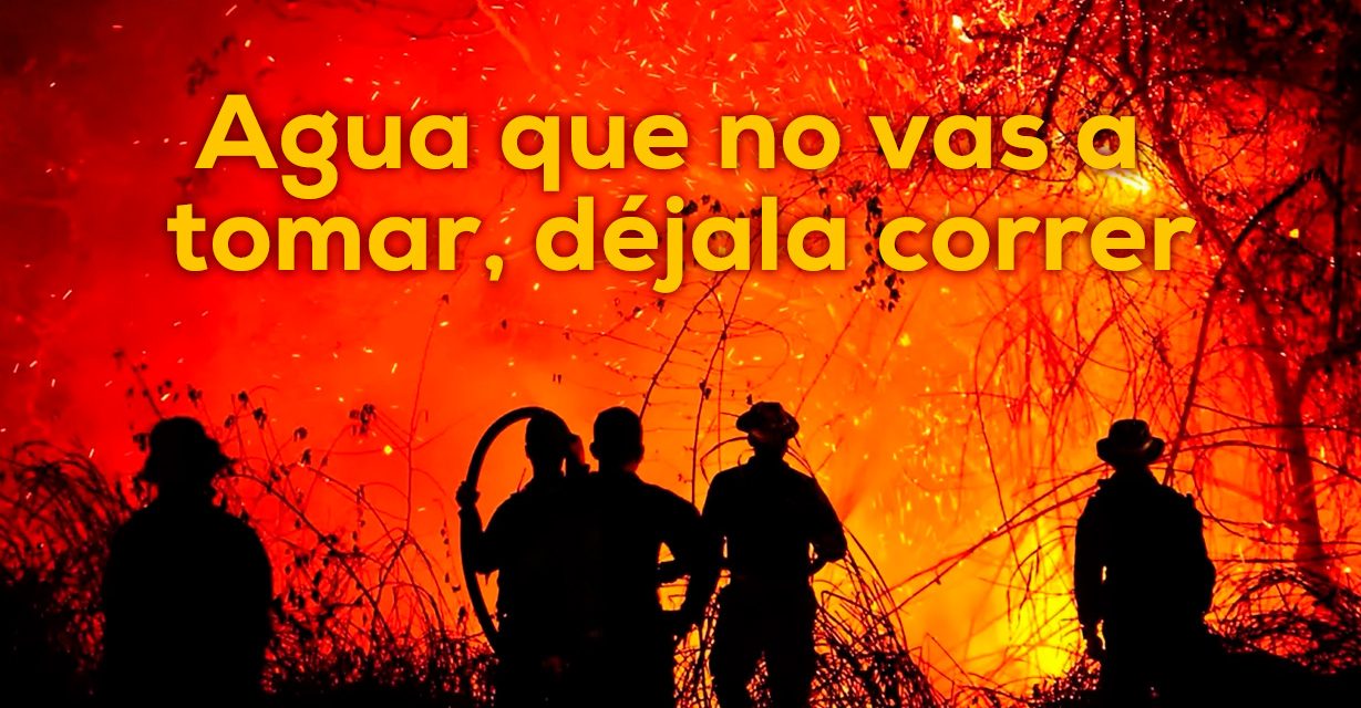 Los incendios forestales