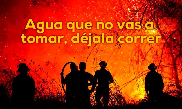 Los incendios forestales