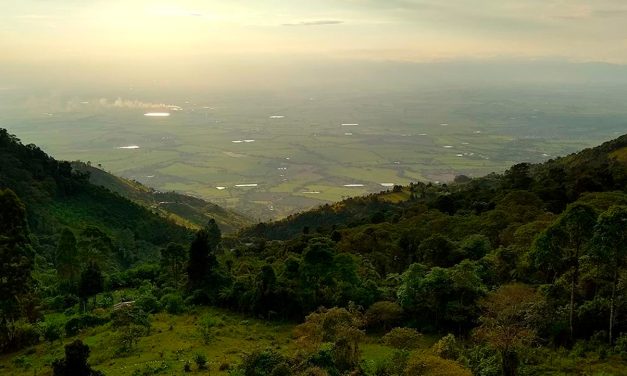 Florida y Pradera: historia, economía y futuro