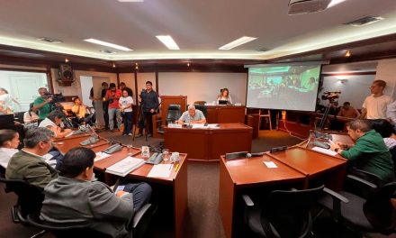 Los 20 acuerdos del Concejo de Cali que marcaron las decisiones de ciudad en 2024