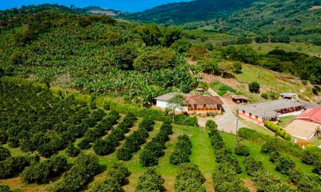 Norte del Valle del Cauca: historia, economía y futuro