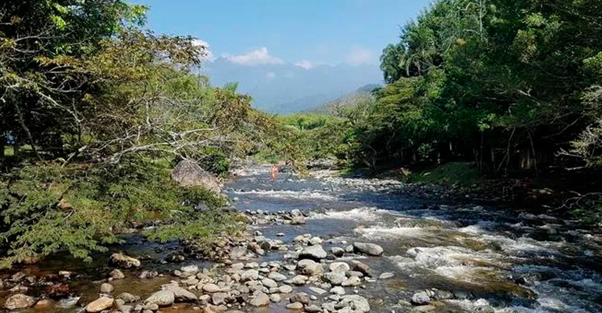Cali cerró 2024 con cambios en sus indicadores ambientales