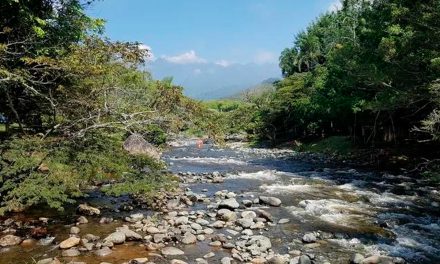 Cali cerró 2024 con cambios en sus indicadores ambientales