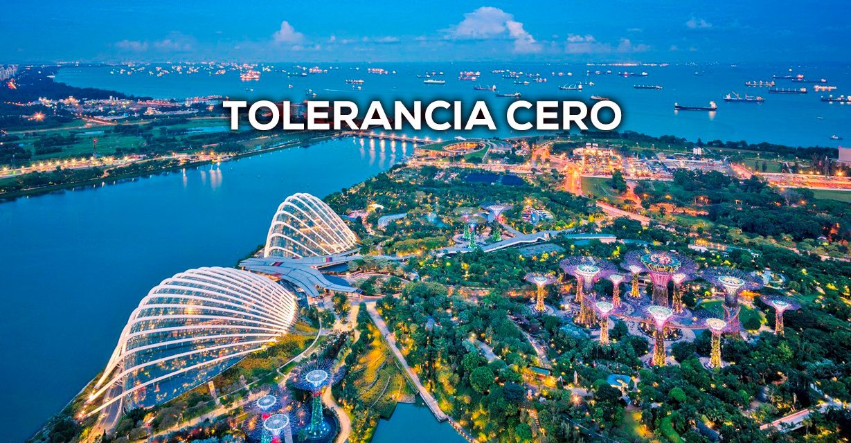 Tolerancia Cero