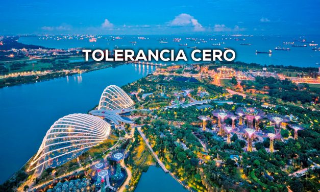 Tolerancia Cero